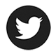 icon-Twitter